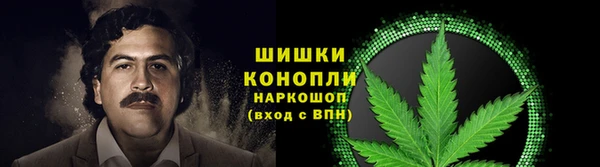 спайс Алексин