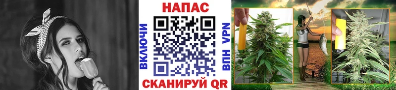 Конопля индика  Ижевск 